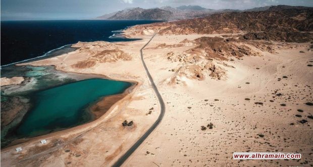 فساد وسرقة في نيوم .. تكلفة الشجرة عشرة آلاف ريال