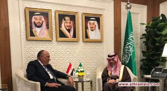 مصادر: السعودية تبلغ مصر قرارا حاسما بشأن سوريا.. وتنسيق مشترك حول تركيا