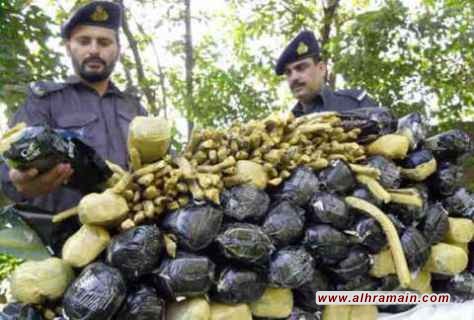 &ldquo;فورين بوليسي&rdquo;: السعودية &ldquo;عاصمة المخدرات&rdquo; في الشرق الأوسط