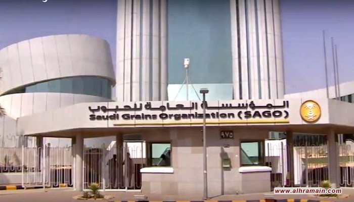 خطوة سعودية جديدة لخصخصة مطاحن الدقيق.. تعرف عليها