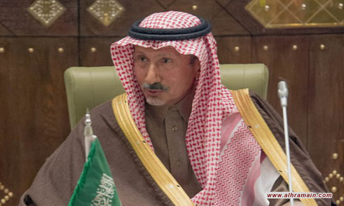 موقع استخباراتي: أفراد عائلة أمير محتجز تشارك بإطلاق شركة الطيران السعودية الجديدة